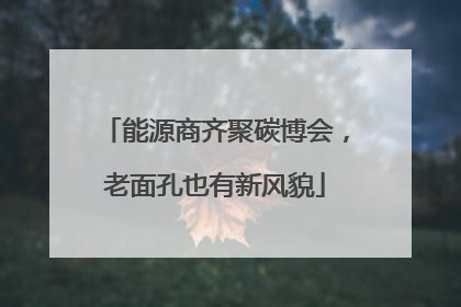 能源商齐聚碳博会，老面孔也有新风貌