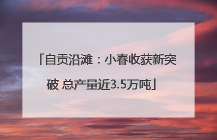 自贡沿滩：小春收获新突破 总产量近3.5万吨