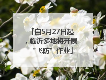 自5月27日起，临沂多地将开展“飞防”作业