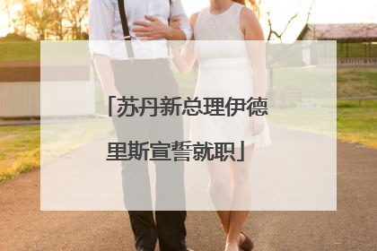苏丹新总理伊德里斯宣誓就职