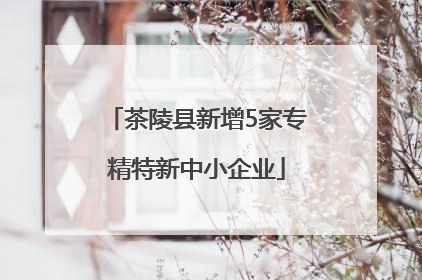 茶陵县新增5家专精特新中小企业