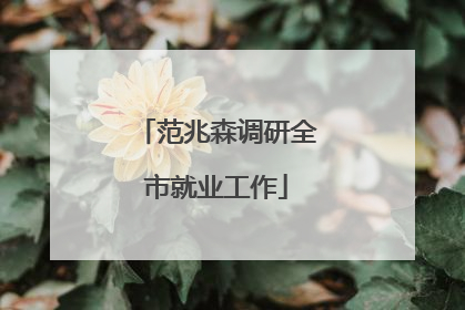 范兆森调研全市就业工作