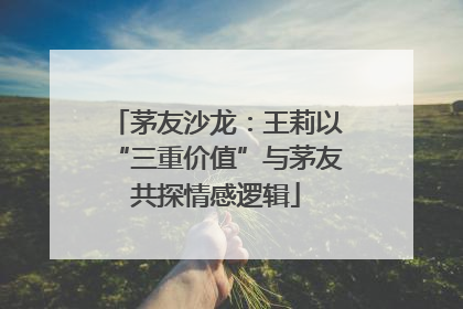 茅友沙龙：王莉以“三重价值”与茅友共探情感逻辑