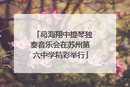 葛海翔中提琴独奏音乐会在苏州第六中学精彩举行