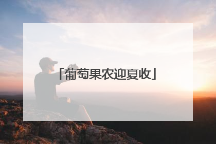 葡萄果农迎夏收