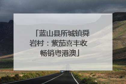 蓝山县所城镇舜岩村：紫茄喜丰收 畅销粤港澳