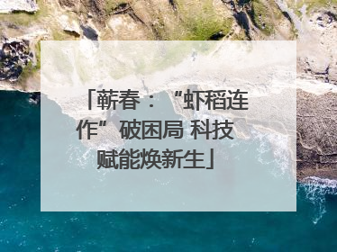 蕲春：“虾稻连作”破困局 科技赋能焕新生