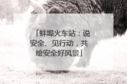 蚌埠火车站：说安全、见行动，共绘安全好风景