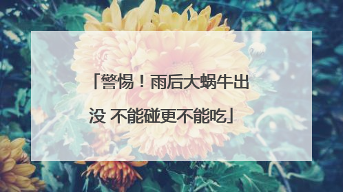 警惕！雨后大蜗牛出没 不能碰更不能吃