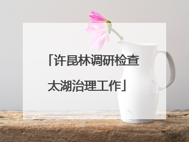 许昆林调研检查太湖治理工作
