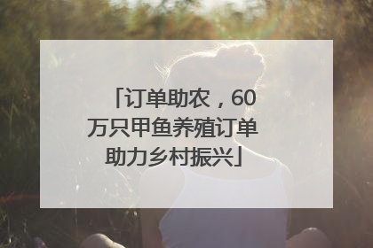 订单助农，60万只甲鱼养殖订单助力乡村振兴