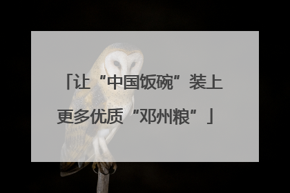 让“中国饭碗”装上更多优质“邓州粮”