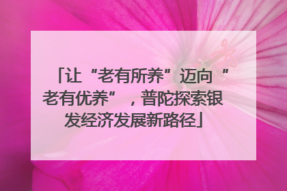 让“老有所养”迈向“老有优养”，普陀探索银发经济发展新路径