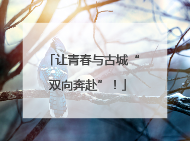 让青春与古城“双向奔赴”！