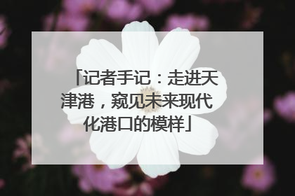 记者手记：走进天津港，窥见未来现代化港口的模样
