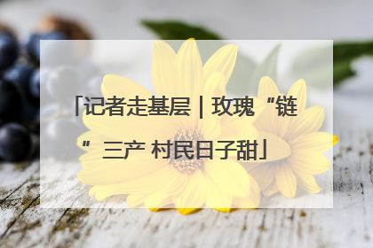 记者走基层｜玫瑰“链”三产 村民日子甜