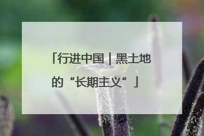 行进中国｜黑土地的“长期主义”