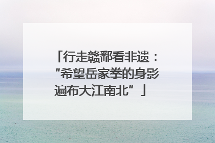 行走赣鄱看非遗：“希望岳家拳的身影遍布大江南北”