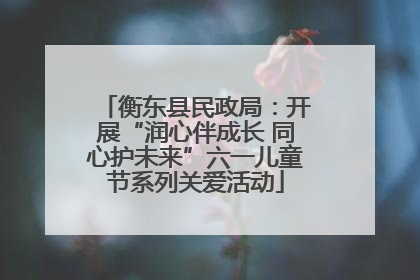 衡东县民政局：开展“润心伴成长 同心护未来”六一儿童节系列关爱活动