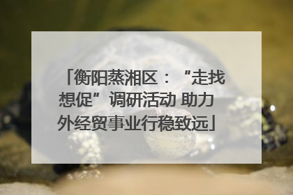 衡阳蒸湘区：“走找想促”调研活动 助力外经贸事业行稳致远
