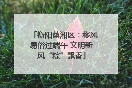 衡阳蒸湘区：移风易俗过端午 文明新风“粽”飘香
