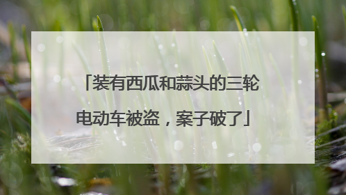 装有西瓜和蒜头的三轮电动车被盗，案子破了