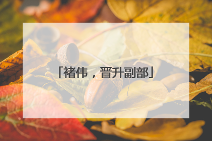 褚伟，晋升副部