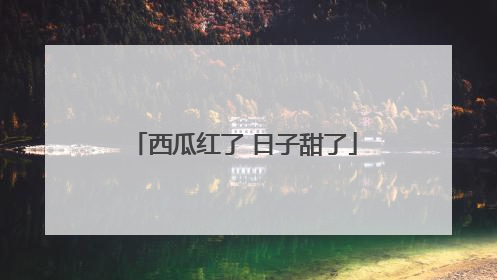 西瓜红了 日子甜了