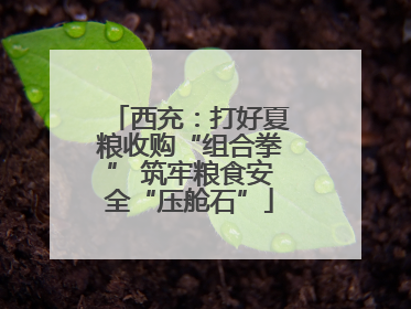 西充：打好夏粮收购“组合拳” 筑牢粮食安全“压舱石”