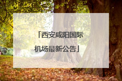 西安咸阳国际机场最新公告