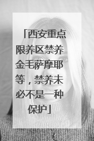 西安重点限养区禁养金毛萨摩耶等，禁养未必不是一种保护