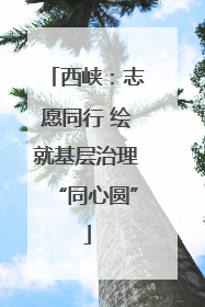 西峡：志愿同行 绘就基层治理“同心圆”