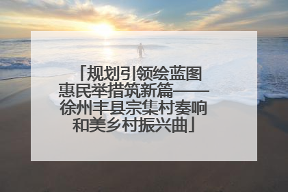 规划引领绘蓝图 惠民举措筑新篇——徐州丰县宗集村奏响和美乡村振兴曲