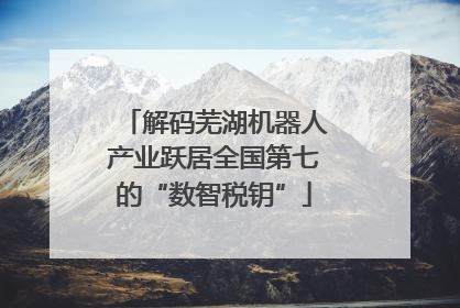 解码芜湖机器人产业跃居全国第七的“数智税钥”