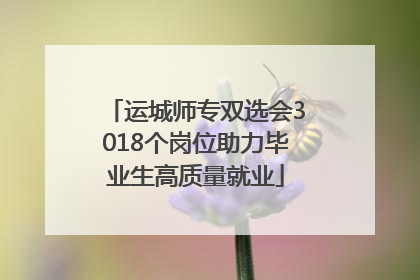 运城师专双选会3018个岗位助力毕业生高质量就业