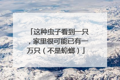 这种虫子看到一只，家里很可能已有一万只（不是蟑螂）