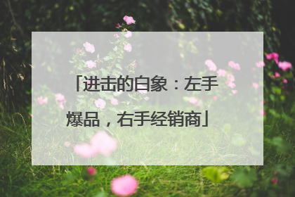 进击的白象：左手爆品，右手经销商