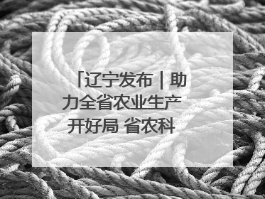 辽宁发布｜助力全省农业生产开好局 省农科院科技服务春耕备耕成效显著