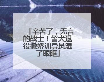 辛苦了，无言的战士！警犬退役撒娇训导员湿了眼眶