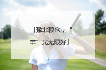 豫北粮仓，“丰”光无限好