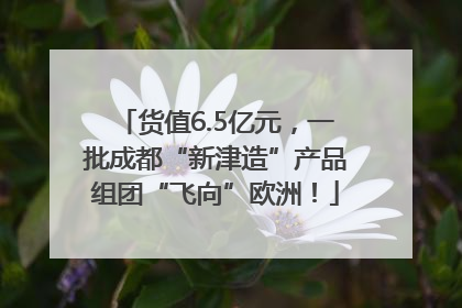 货值6.5亿元，一批成都“新津造”产品组团“飞向”欧洲！
