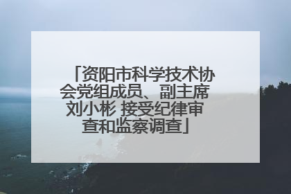 资阳市科学技术协会党组成员、副主席刘小彬 接受纪律审查和监察调查