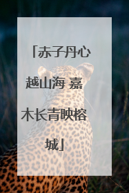 赤子丹心越山海 嘉木长青映榕城