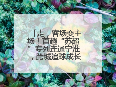 走，客场变主场！首趟“苏超”专列连通宁淮，跨城追球成长三角人新日常