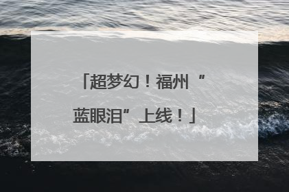 超梦幻！福州“蓝眼泪”上线！