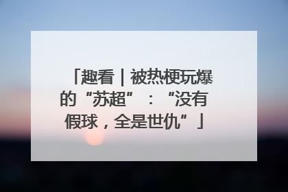 趣看｜被热梗玩爆的“苏超”：“没有假球，全是世仇”