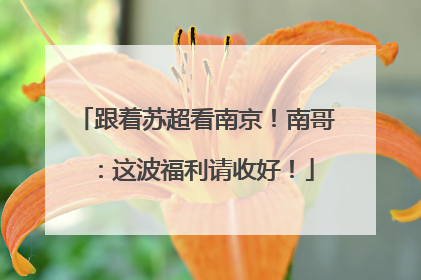 跟着苏超看南京！南哥：这波福利请收好！