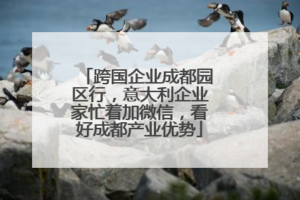 跨国企业成都园区行，意大利企业家忙着加微信，看好成都产业优势