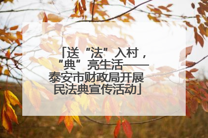送“法”入村，“典”亮生活——泰安市财政局开展民法典宣传活动