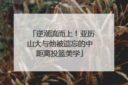 逆潮流而上！亚历山大与他被遗忘的中距离投篮美学